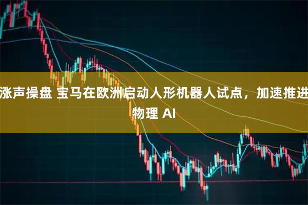 涨声操盘 宝马在欧洲启动人形机器人试点，加速推进物理 AI