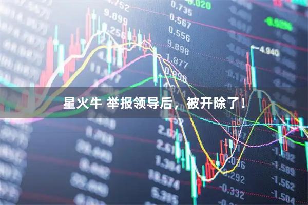 星火牛 举报领导后，被开除了！