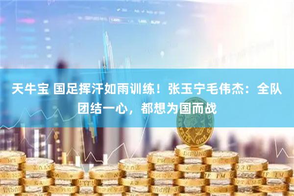 天牛宝 国足挥汗如雨训练！张玉宁毛伟杰：全队团结一心，都想为国而战