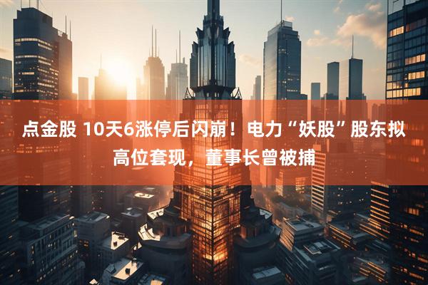 点金股 10天6涨停后闪崩！电力“妖股”股东拟高位套现，董事长曾被捕