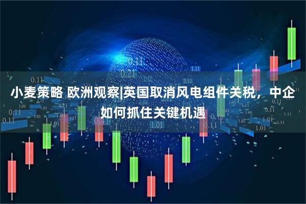 小麦策略 欧洲观察|英国取消风电组件关税，中企如何抓住关键机遇