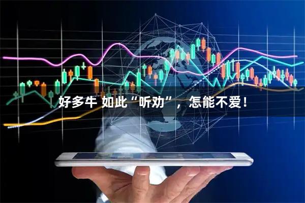 好多牛 如此“听劝”，怎能不爱！