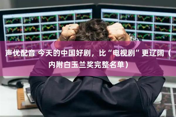 声优配音 今天的中国好剧，比“电视剧”更辽阔（内附白玉兰奖完整名单）