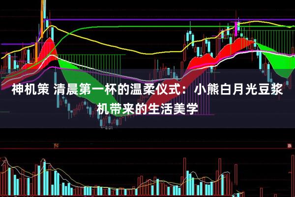 神机策 清晨第一杯的温柔仪式：小熊白月光豆浆机带来的生活美学