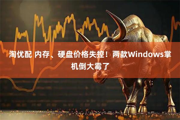 淘优配 内存、硬盘价格失控！两款Windows掌机倒大霉了