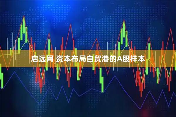 启远网 资本布局自贸港的A股样本