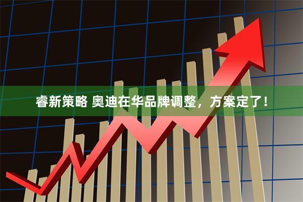 睿新策略 奥迪在华品牌调整，方案定了！