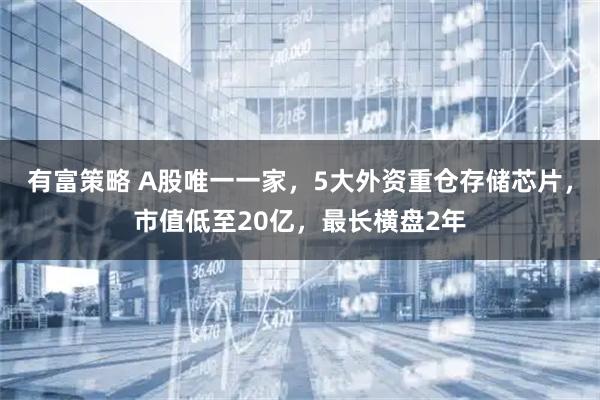有富策略 A股唯一一家,5大外资重仓存储芯片,市值低至20亿,最长横盘2年