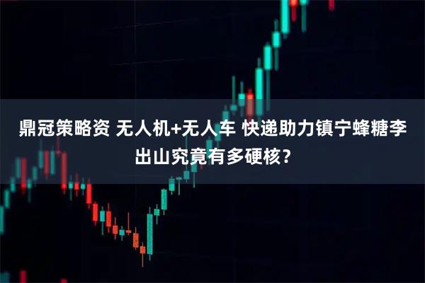 鼎冠策略资 无人机+无人车 快递助力镇宁蜂糖李出山究竟有多硬核？