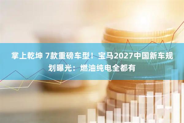掌上乾坤 7款重磅车型！宝马2027中国新车规划曝光：燃油纯电全都有